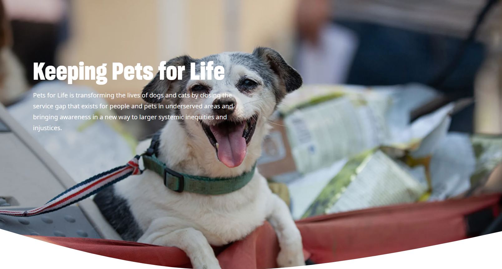 Pets For Life Program